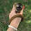 Thumbnail: Taos - Brown Lemur Male Baby PRICE $6500