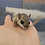 Thumbnail: Bub- Flying Squirrel Baby Male PRICE $900