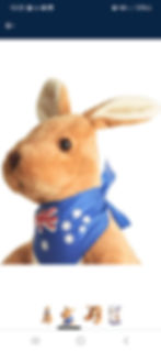Kangaroo souvenir stuffed animal toy gift