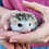 Baby hedgehog for sale