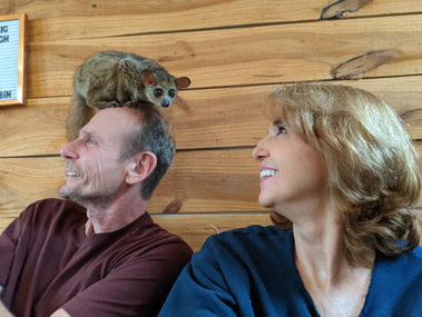 Cuddle Cabin Exotic Animal Experience   | What to expect on the best day ever
