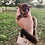 Bushbaby baby galagos for sale