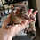 Thumbnail: Kirby - Baby Bushbaby Male PRICE $12,000
