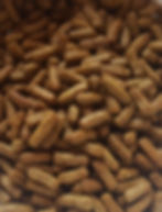 Sugar Glider Exotic Pet Food