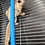 Thumbnail: Columbia - Adult Female Sugar Glider PRICE $195