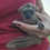 lemur for sale texas'