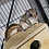 Flying Squirrel for sale