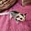 sugar glider joey for sale