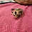 Thumbnail: Sasha-Female Sugar Glider PRICE $700