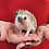 Thumbnail: Carlo - Male Hedgehog PRICE $295