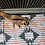 Thumbnail: Lillian - Adult Female Sugar Glider PRICE $195
