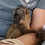 Brown Lemur for sale texas