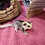sugar glider joey for sale