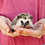 Hedgehog babies for sale Ingrid