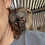 Thumbnail: Leanna - Brown Lemur Female Baby PRICE $2900
