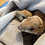Thumbnail: Capri & Winona - Baby Prairie Dog Pup Females- PRICE $700