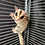 Thumbnail: Columbia - Adult Female Sugar Glider PRICE $195