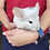 Thumbnail: Zinc- Male Chinchilla PRICE $595