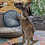 Thumbnail: Romper - Male Baby Red Kangaroo PRICE $3400