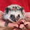 hedgehog for sale