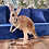 Thumbnail: Riley - Female Baby Red Kangaroo PRICE $9500