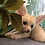 Thumbnail: Maybel  Female Fennec Fox PRICE $4200