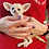 Thumbnail: Fern - Female Fennec Fox PRICE $4200