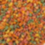 Small chunk Dried fruit treat exotic pets