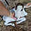 Thumbnail: Swiftie - Mini Zebu Tame Bottle Baby Heifer PRICE $1200