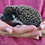 Baby hedgehog for sale