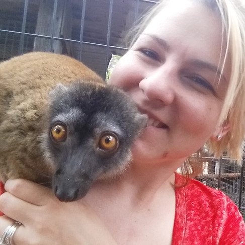 Pet Lemurs for sale