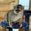 Thumbnail: Matiz - Brown Lemur Male PRICE $6500