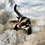Thumbnail: Goforth - Male Sugar Glider PRICE $350