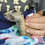 Thumbnail: Raisin - Prairie Dog Pup Male - PRICE $400