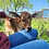 Walnut- Mini Zebu Tame Bottle Bull Calf