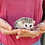Velma- Female Baby Hedgehog