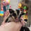 Thumbnail: Dubbs - Male Sugar Glider PRICE $350