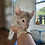 Thumbnail: Quinn - Male Baby Chinchilla PRICE $495