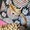 Thumbnail: Gordon - Adult Male Sugar Glider PRICE $195