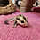 Thumbnail: Sasha-Female Sugar Glider PRICE $700