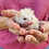 Baby hedgehog breeder in texas