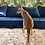 Thumbnail: Rita- Female Baby Red Kangaroo PRICE $8000