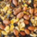 Flying squirrel exotic pet nuts mix treat