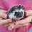 Thumbnail: Betty - Female Hedgehog PRICE $295