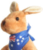 Kangaroo souvenir stuffed animal toy gift