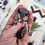 Thumbnail: Henry - Flying Squirrel Baby Male PRICE $900