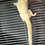Sugar glider for sale