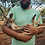 Thumbnail: Rowdy- Male Baby Red Kangaroo PRICE $2900