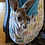 Kangaroo baby for sale Female exotic pet
