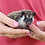 Hedgehog baby for sale
